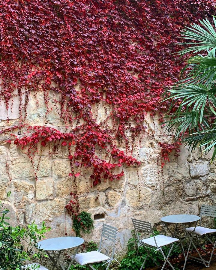B&B La Maison Galiene Bordeaux Eksteriør bilde